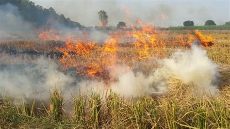 Crews Battle Ecuador Fire Destroying Coffee Crops .